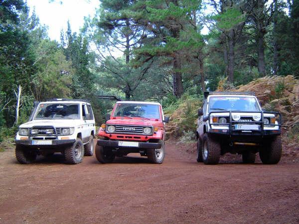 Toyotas Land Cruiser 4x4